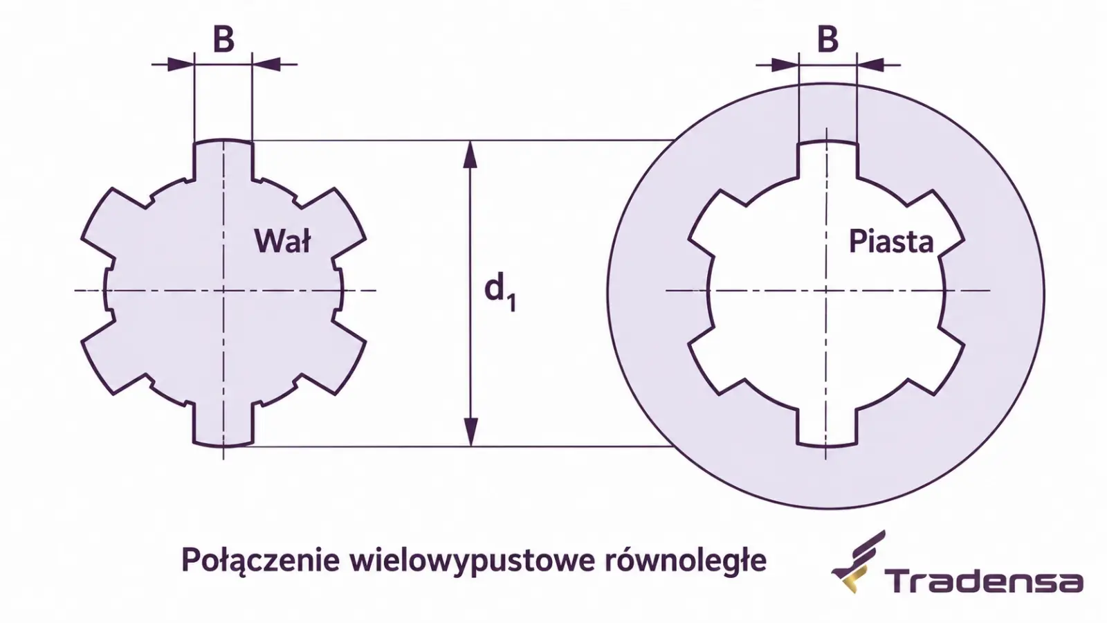 Połączenie wielowypustowe o zębach równoległych - wał i piasta